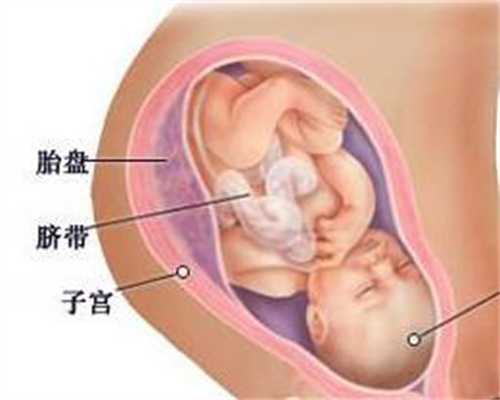 育儿 三代试管婴儿孕早期做阴道B超会不会影响胎儿？