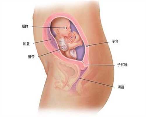 a卵b怀孩子归谁_拉拉怎么生亲生的孩子_同性做泰国试管婴儿可以生孩子吗