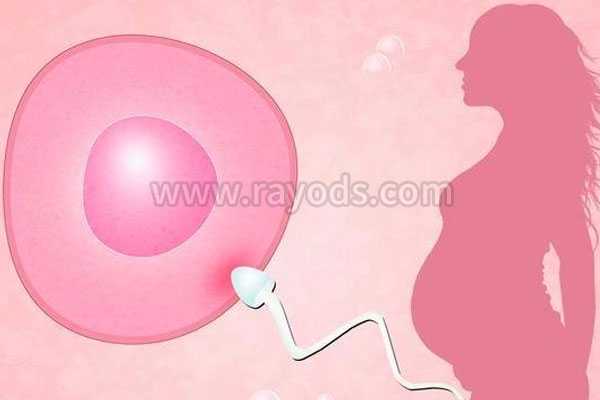 郑州试管供卵婴儿中心_输卵管病变可以做第三代试管婴儿吗？