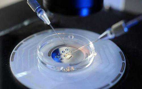 染色体正常在福州助孕试管婴儿流程中为什么还需要做囊胚筛查？